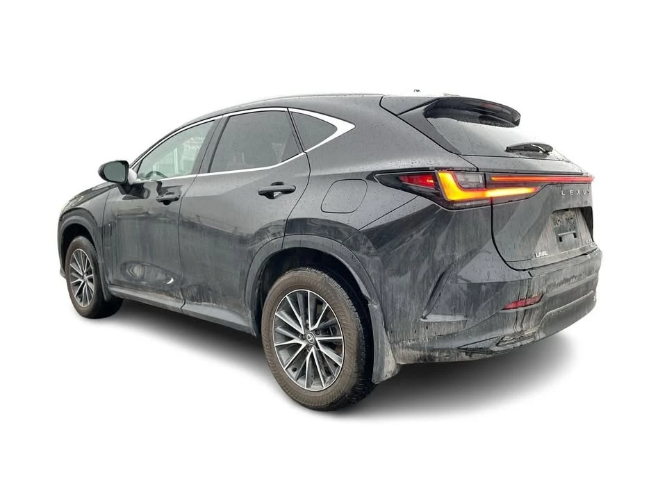 2025 Lexus NX 2nd Gen - Image 8 of 18