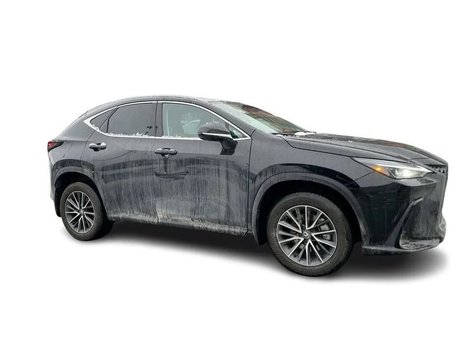 2025 Lexus NX 2nd Gen - Image 15 of 18
