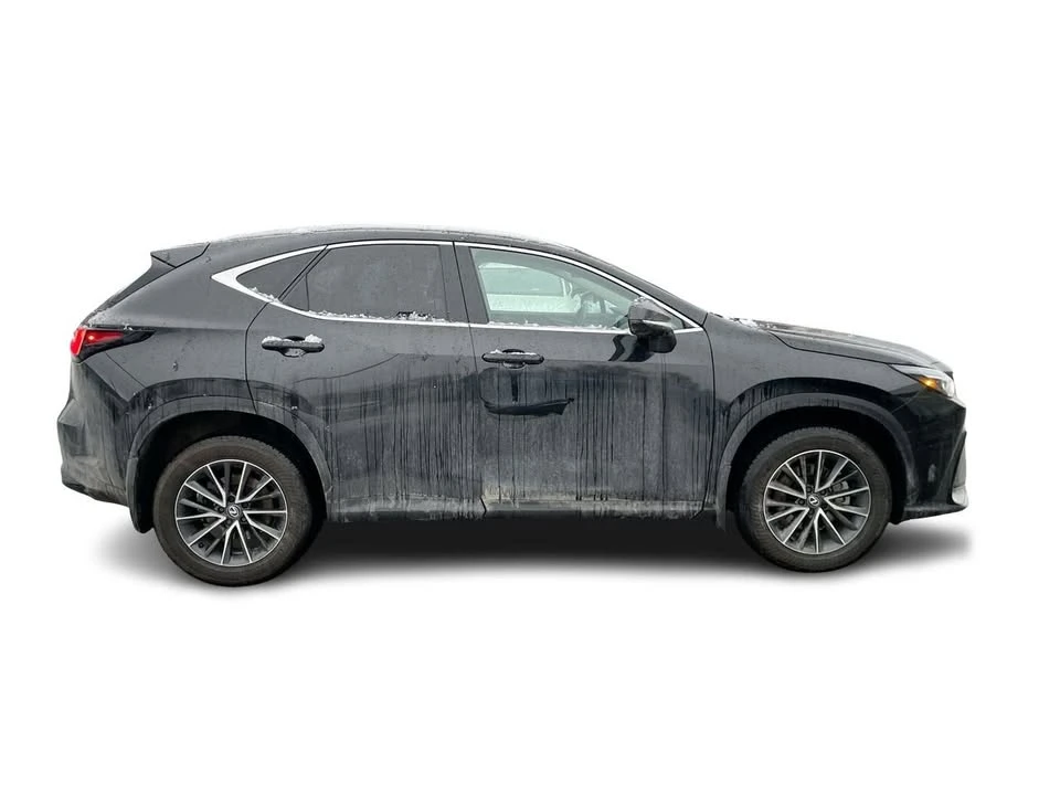 2025 Lexus NX 2nd Gen - Image 14 of 18
