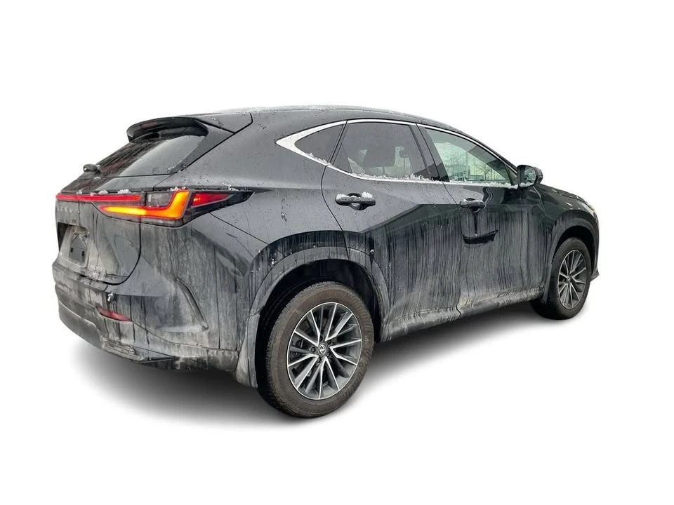 2025 Lexus NX 2nd Gen - Image 12 of 18
