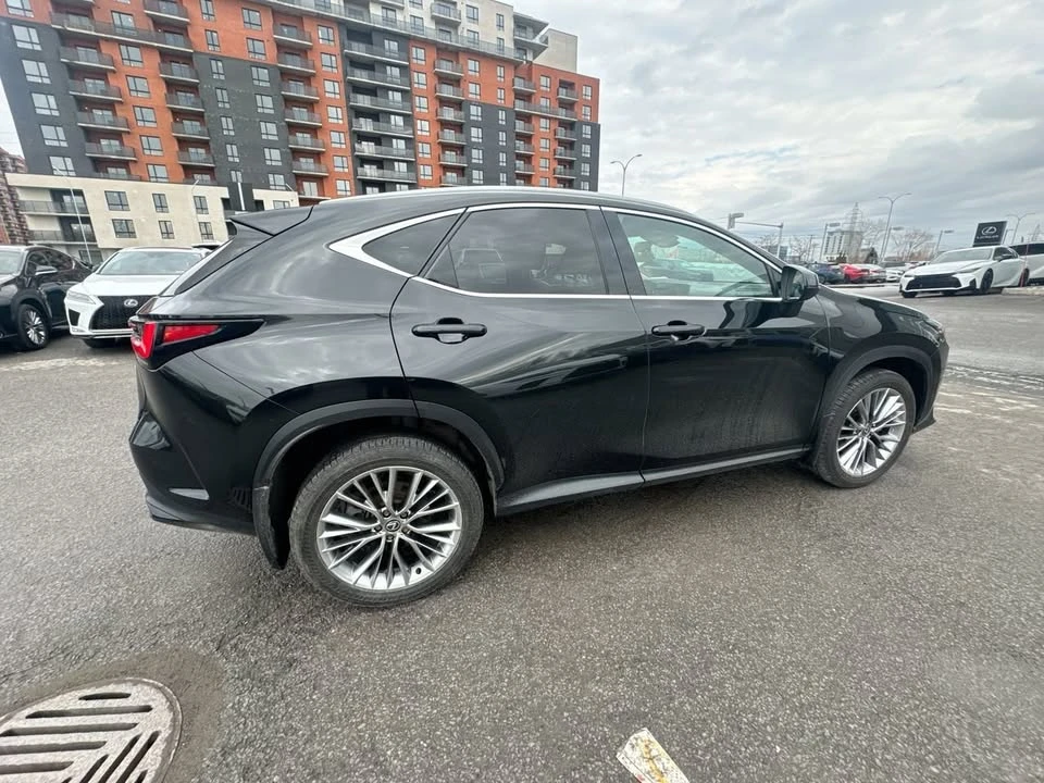 2025 Lexus NX 2nd Gen - Image 15 of 20