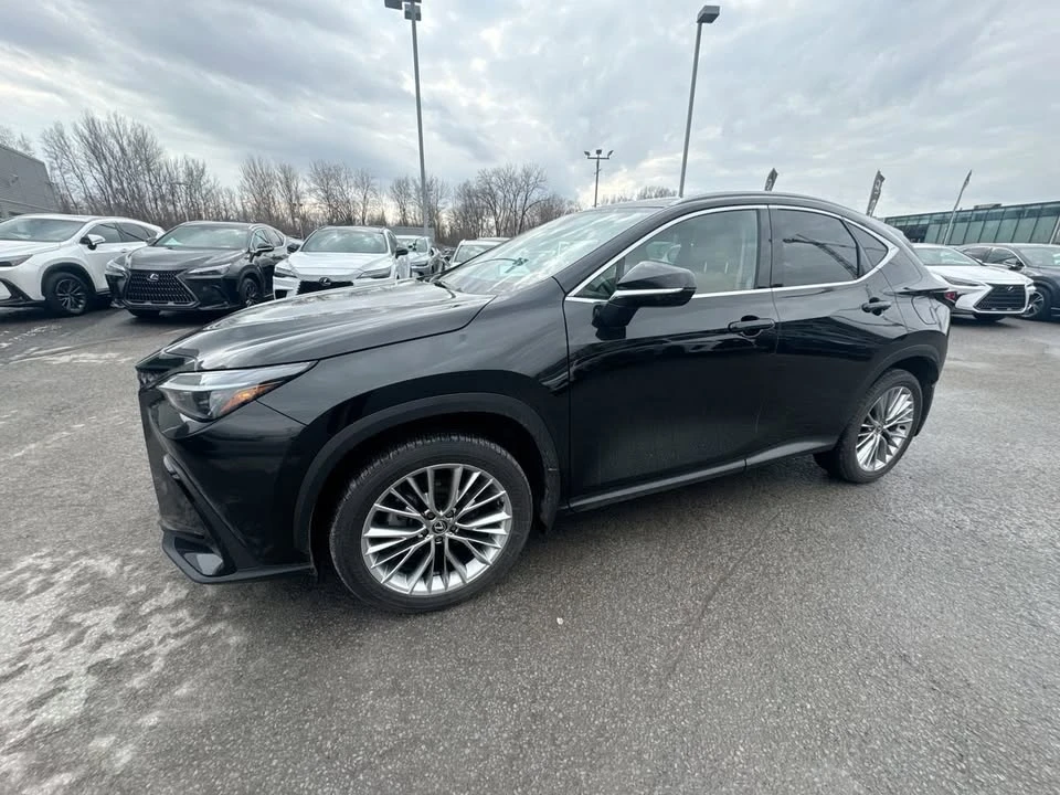 2025 Lexus NX 2nd Gen - Image 7 of 20