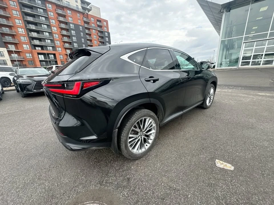 2025 Lexus NX 2nd Gen - Image 14 of 20