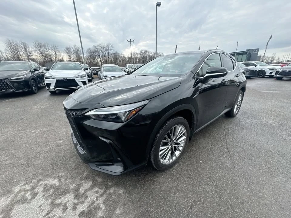 2025 Lexus NX 2nd Gen - Image 6 of 20