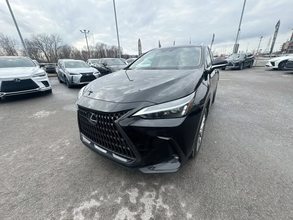 2025 Lexus NX 2nd Gen - Image 5 of 20