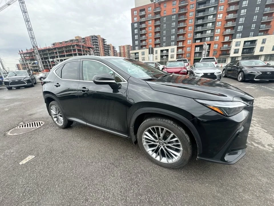 2025 Lexus NX 2nd Gen - Image 17 of 20