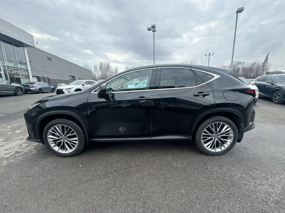 2025 Lexus NX 2nd Gen - Image 8 of 20