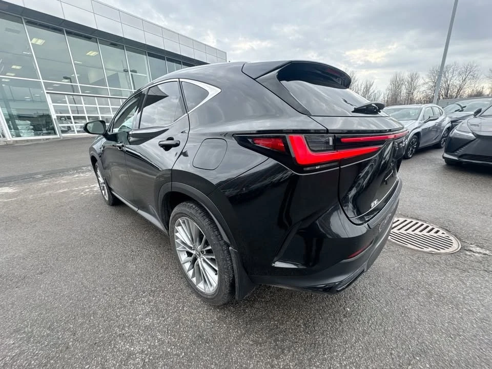 2025 Lexus NX 2nd Gen - Image 10 of 20