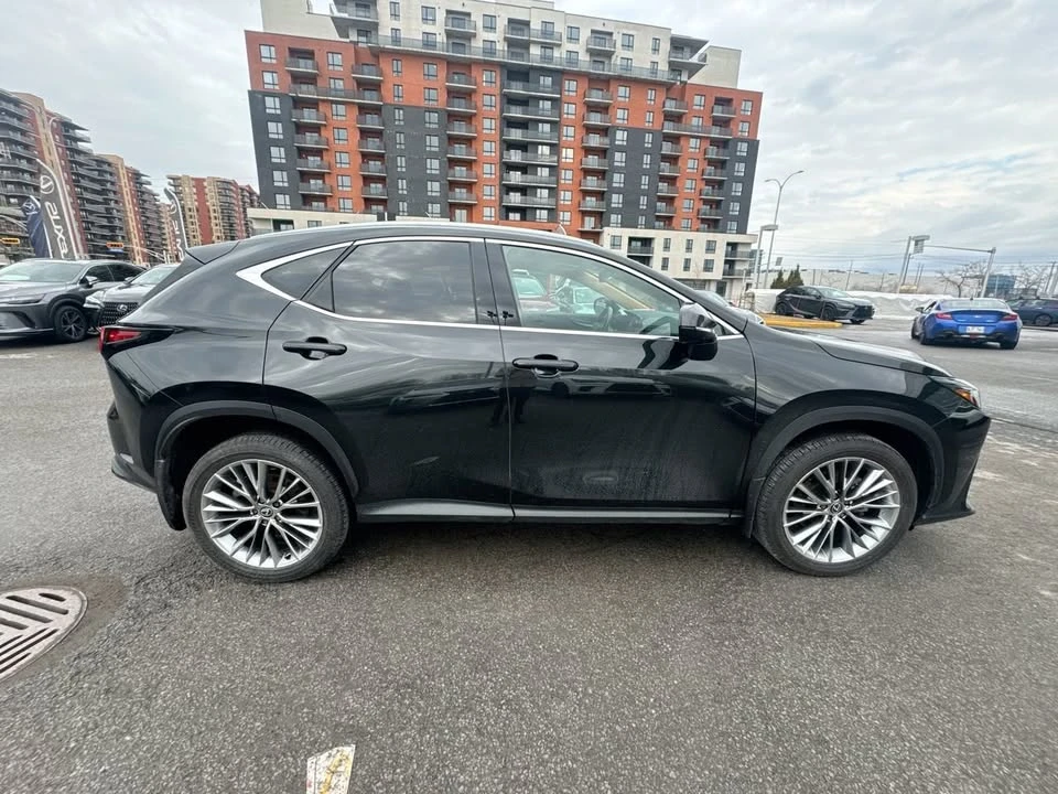 2025 Lexus NX 2nd Gen - Image 16 of 20