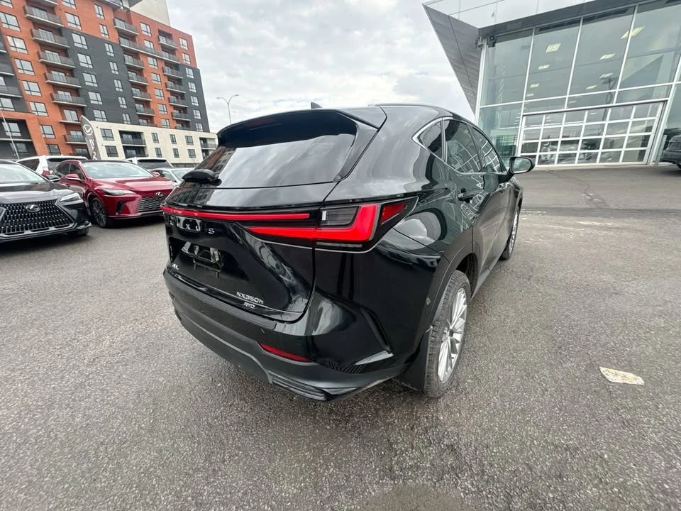 2025 Lexus NX 2nd Gen - Image 13 of 20