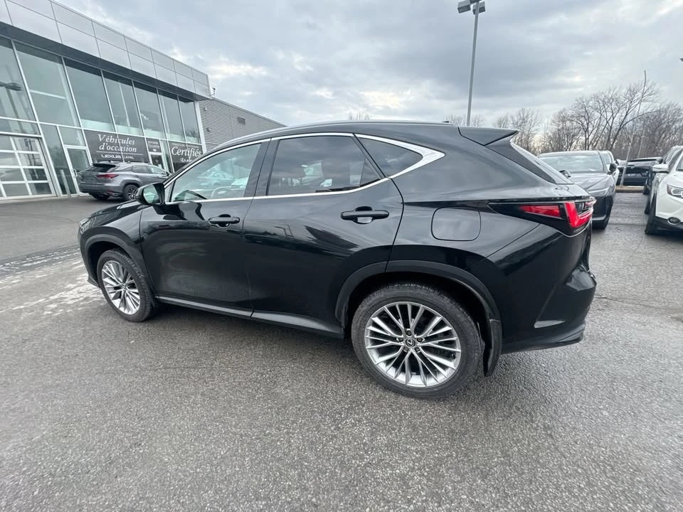 2025 Lexus NX 2nd Gen - Image 9 of 20