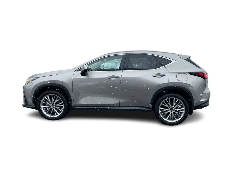 2025 Lexus NX 2nd Gen - Image 8 of 20