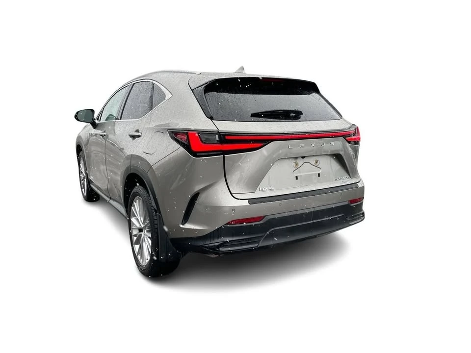 2025 Lexus NX 2nd Gen - Image 11 of 20