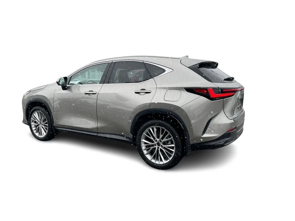 2025 Lexus NX 2nd Gen - Image 9 of 20