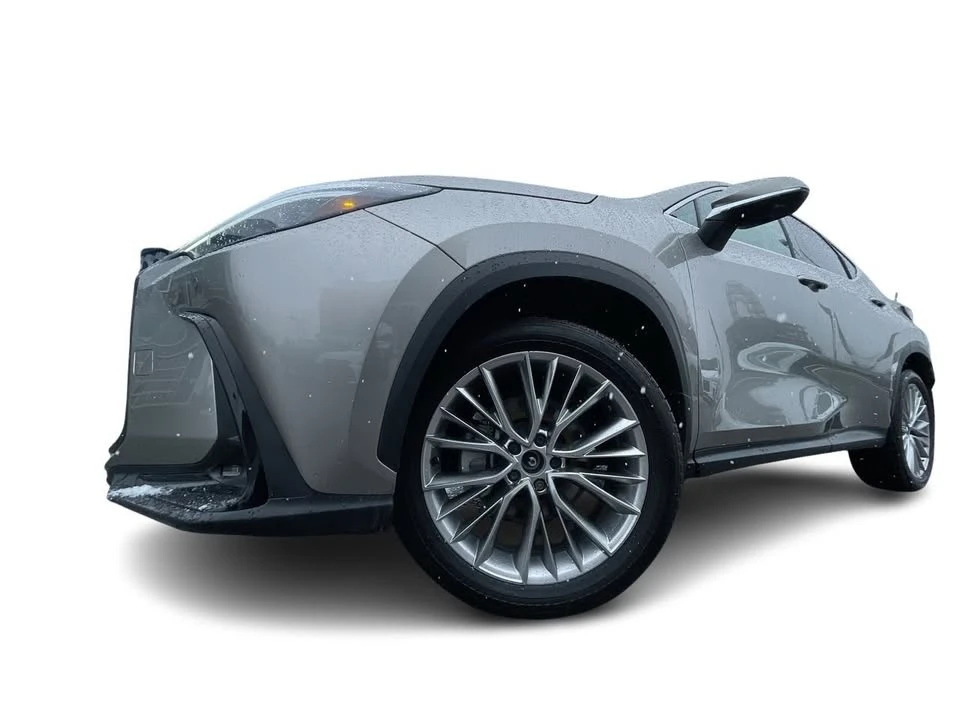 2025 Lexus NX 2nd Gen - Image 17 of 20