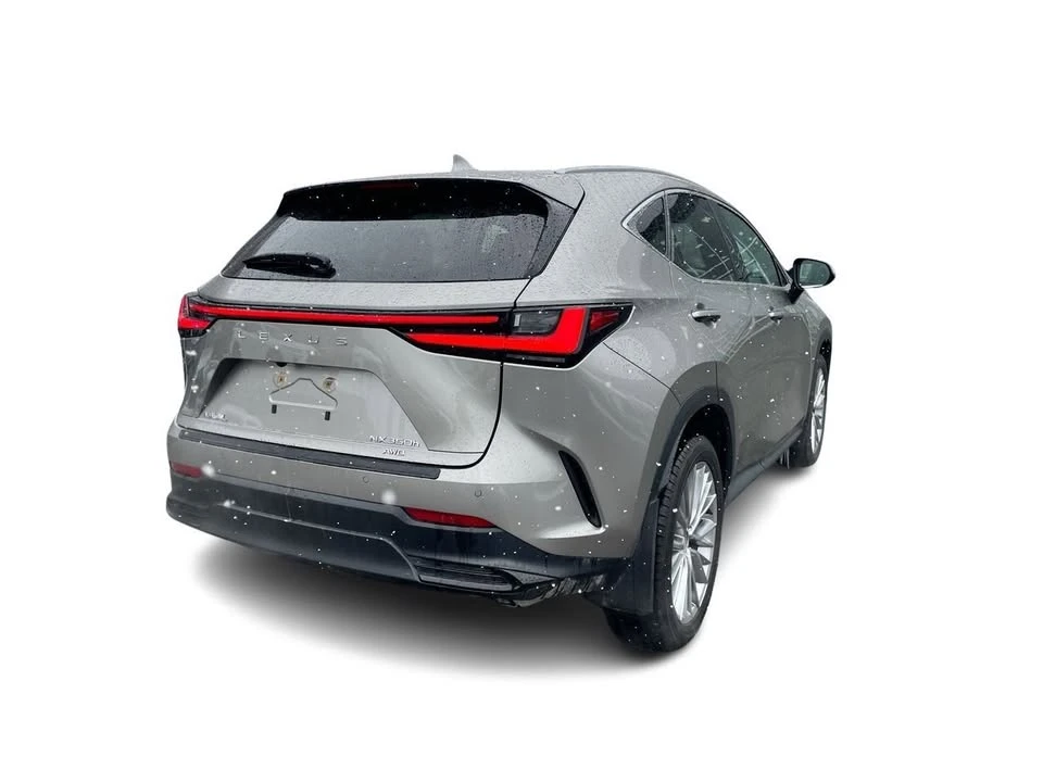 2025 Lexus NX 2nd Gen - Image 13 of 20