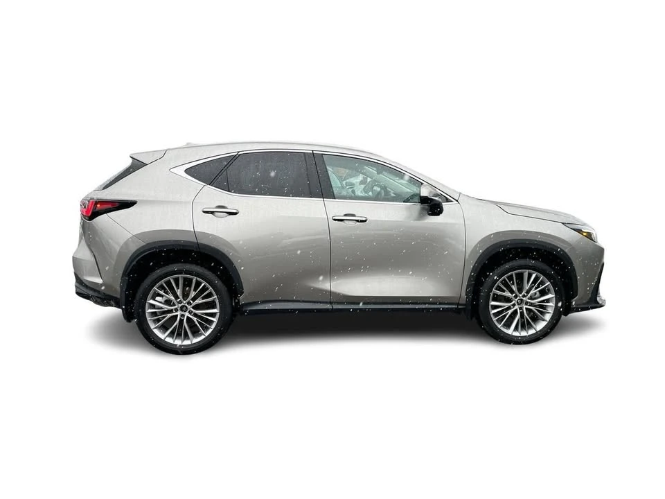 2025 Lexus NX 2nd Gen - Image 15 of 20
