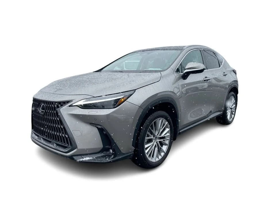 2025 Lexus NX 2nd Gen - Image 6 of 20