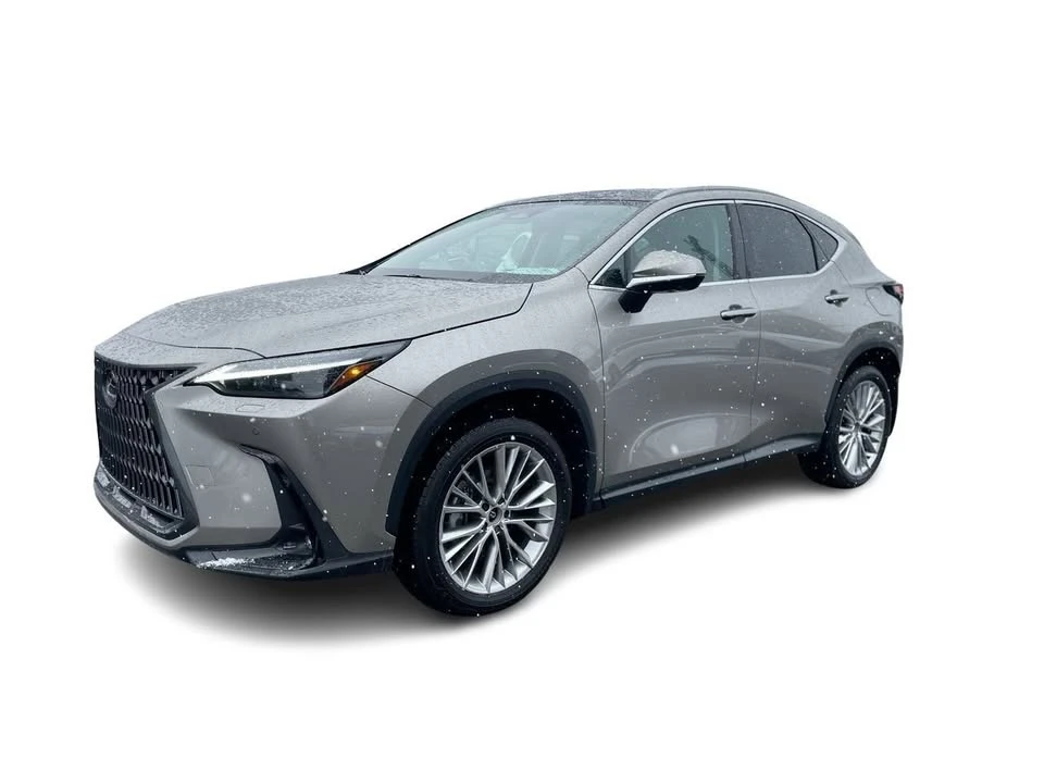 2025 Lexus NX 2nd Gen - Image 7 of 20