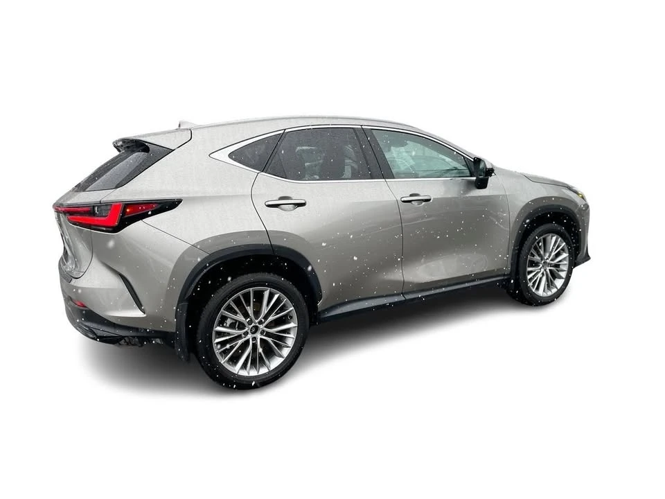 2025 Lexus NX 2nd Gen - Image 15 of 20