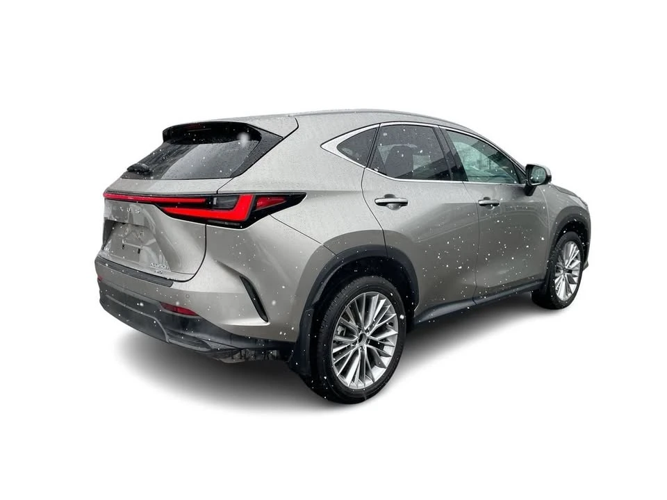 2025 Lexus NX 2nd Gen - Image 14 of 20