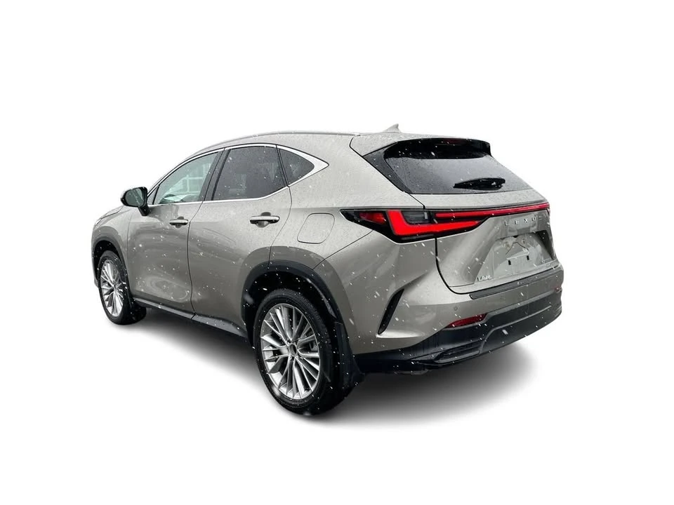 2025 Lexus NX 2nd Gen - Image 10 of 20