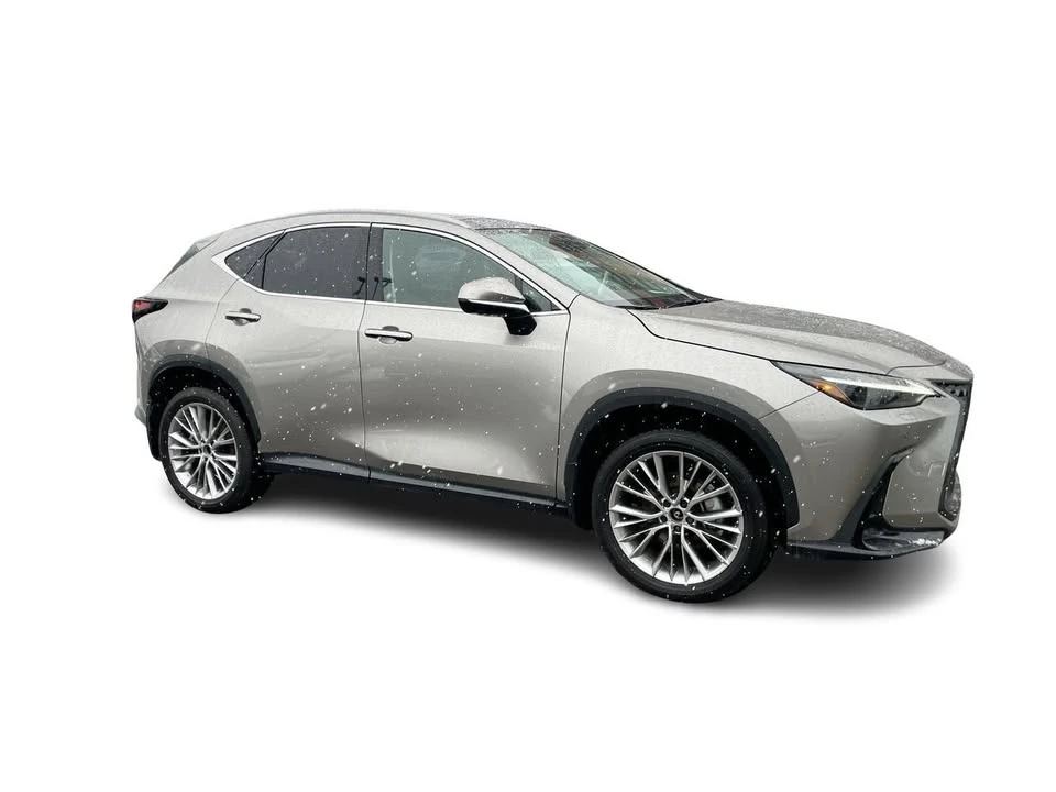 2025 Lexus NX 2nd Gen - Image 17 of 20