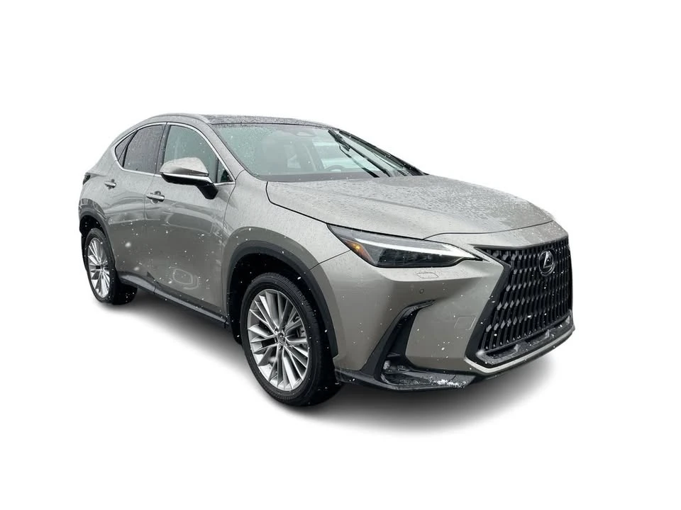 2025 Lexus NX 2nd Gen - Image 2 of 20