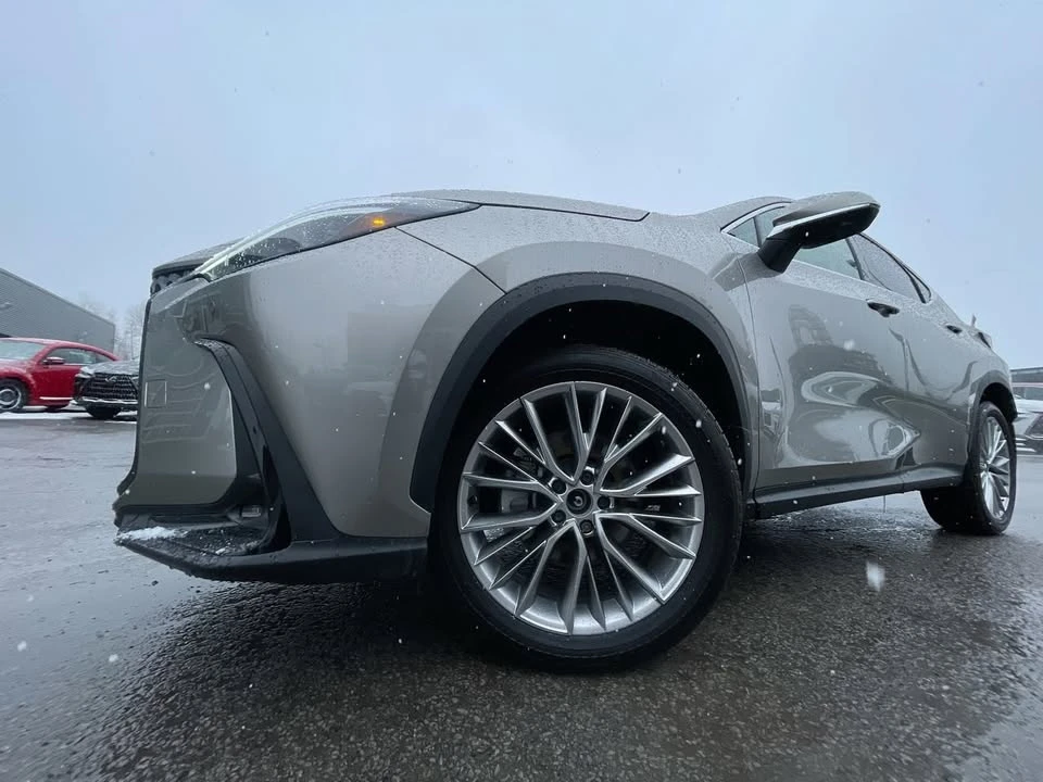 2025 Lexus NX 2nd Gen - Image 18 of 20