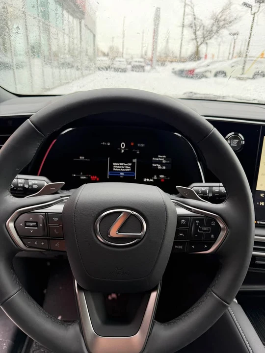 2025 Lexus RX 5th Gen - Image 16 of 19