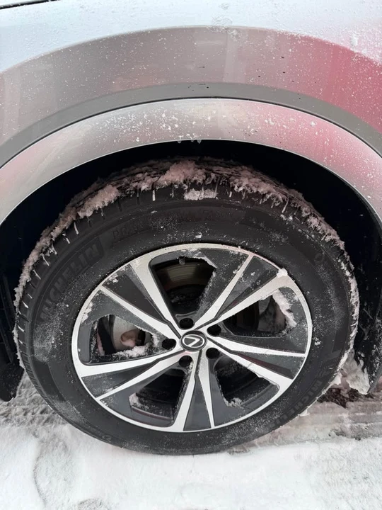 2025 Lexus RX 5th Gen - Image 5 of 19