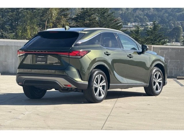 2025 Lexus RX 5th Gen - Image 13 of 20