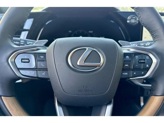 2025 Lexus RX 5th Gen - Image 9 of 20