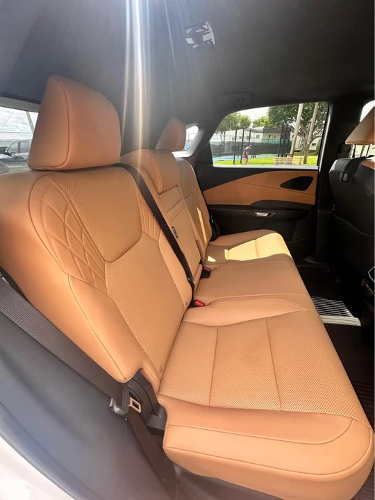 2025 Lexus RX 5th Gen - Image 8 of 9