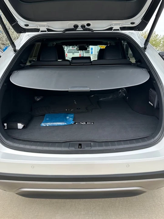2025 Lexus RX 5th Gen - Image 16 of 20