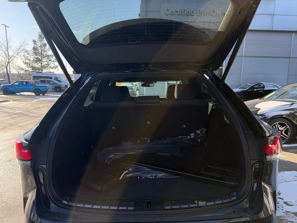 2025 Lexus RX 5th Gen - Image 10 of 10