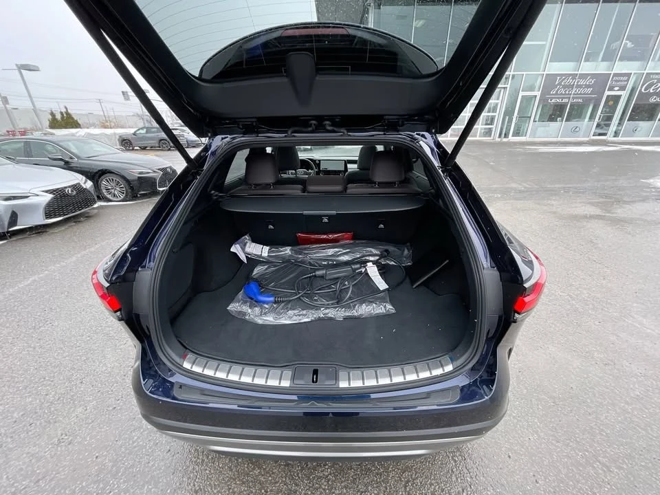 2025 Lexus RX 5th Gen - Image 16 of 17