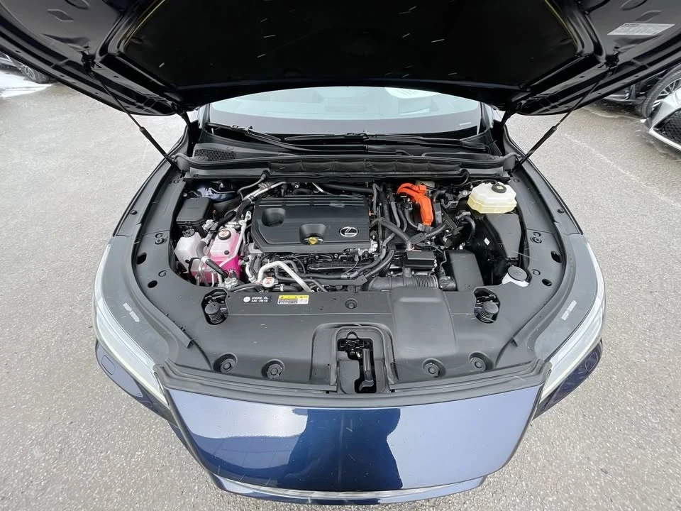 2025 Lexus RX 5th Gen - Image 19 of 19