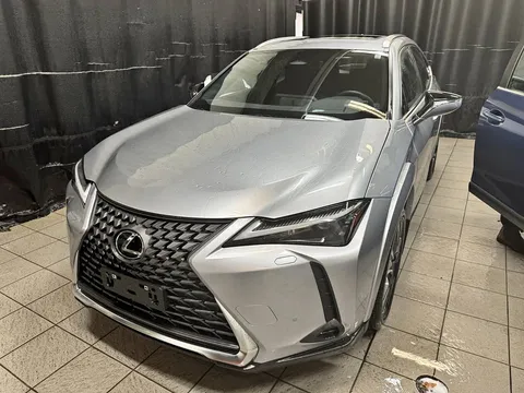 2025 Lexus UX300h Luxury Package