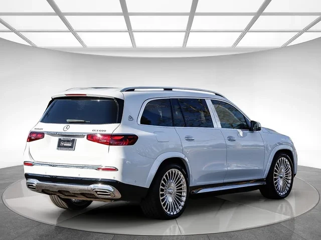 2025 Maybach - Image 13 of 19