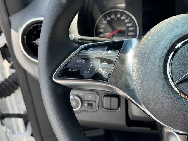 2025 Mercedes-Benz VS30 Sprinter - Image 11 of 12