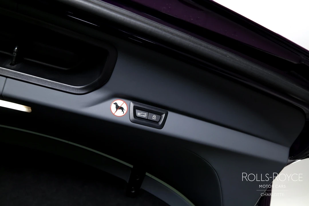 2025 Rolls-Royce Cullinan - Image 28 of 31