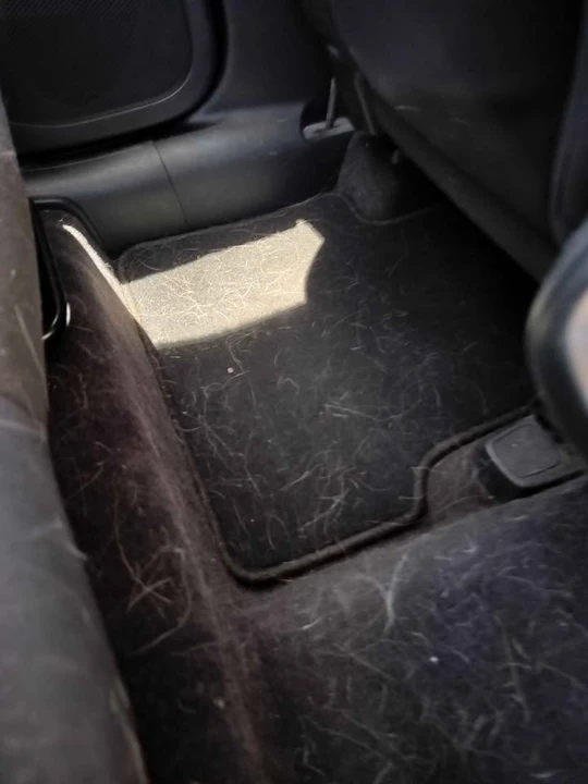 2026 Alfa Romeo 164 - Image 3 of 14