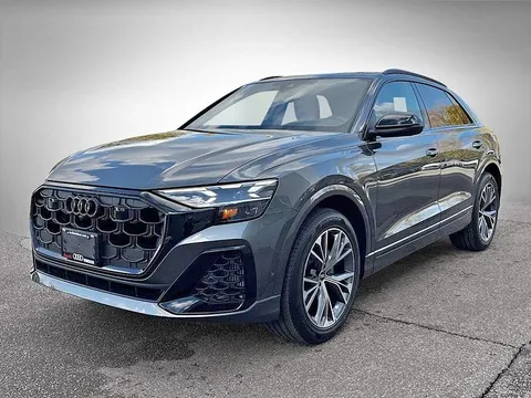2026 Audi Q8 Technik