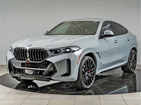 2026 BMW X6