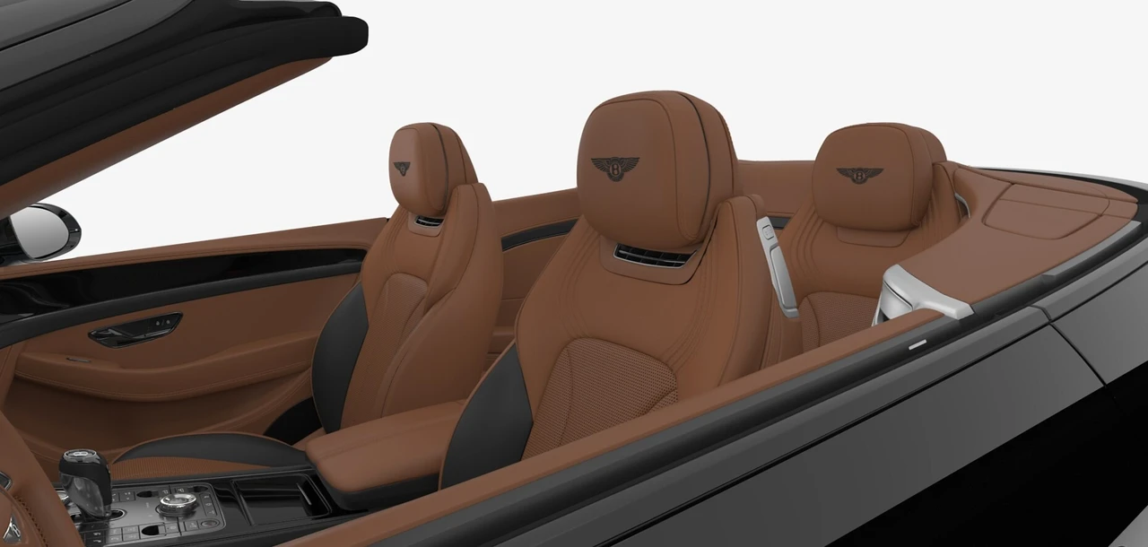 2026 Bentley Continental GTC - Image 10 of 10