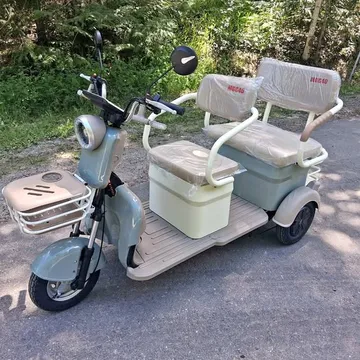 2026 Electric Mini Golf Cart