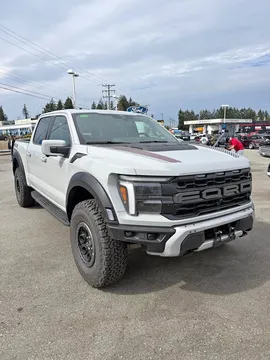 2026 Ford F-150 Raptor 802A Avalanche
