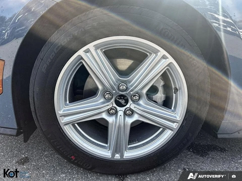 2026 Ford S650 Mustang - Image 19 of 20