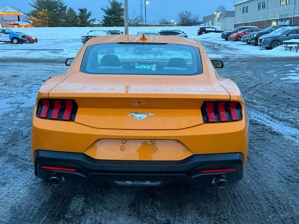 2026 Ford S650 Mustang - Image 5 of 12